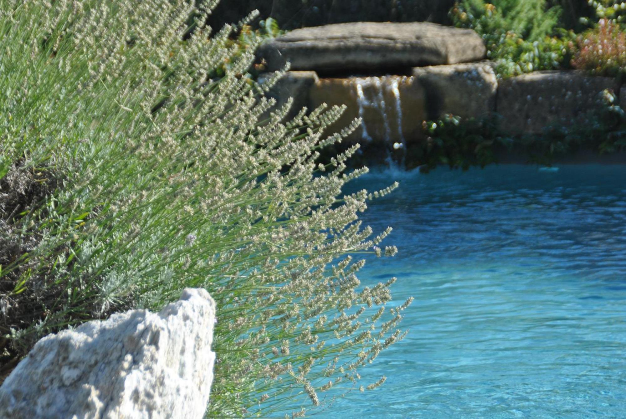 Agriturismo Campo Del Pillo Pietradura Экстерьер фото