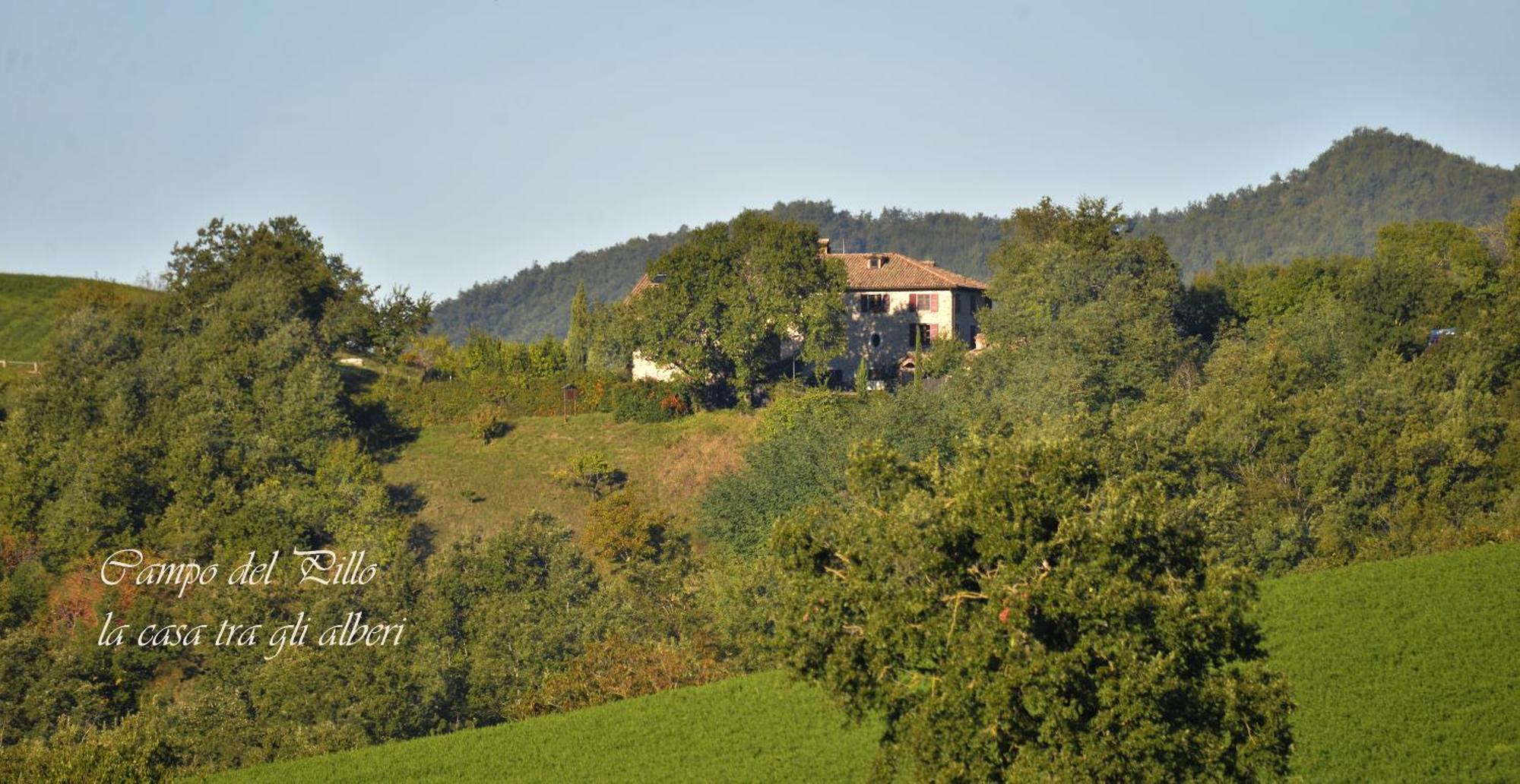 Agriturismo Campo Del Pillo Pietradura Экстерьер фото