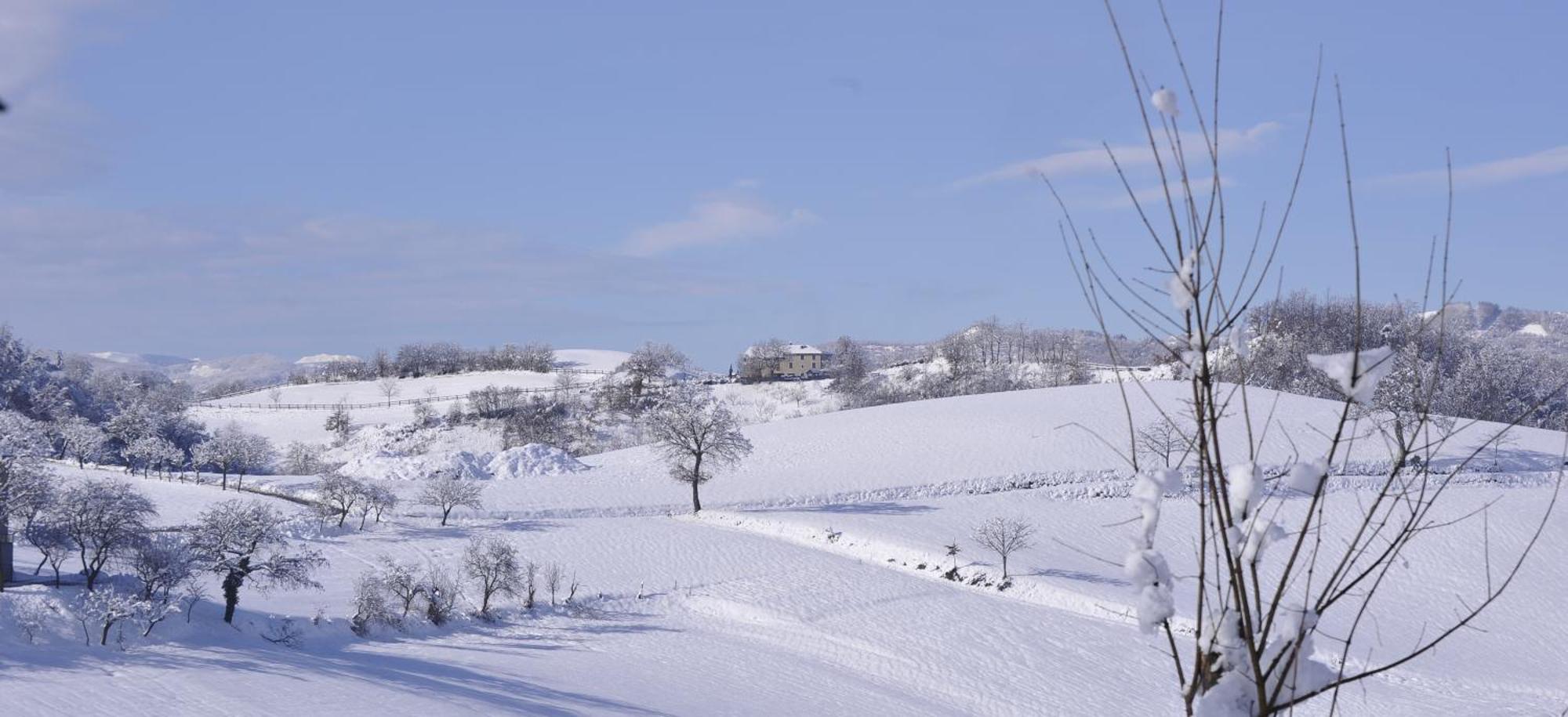 Agriturismo Campo Del Pillo Pietradura Экстерьер фото