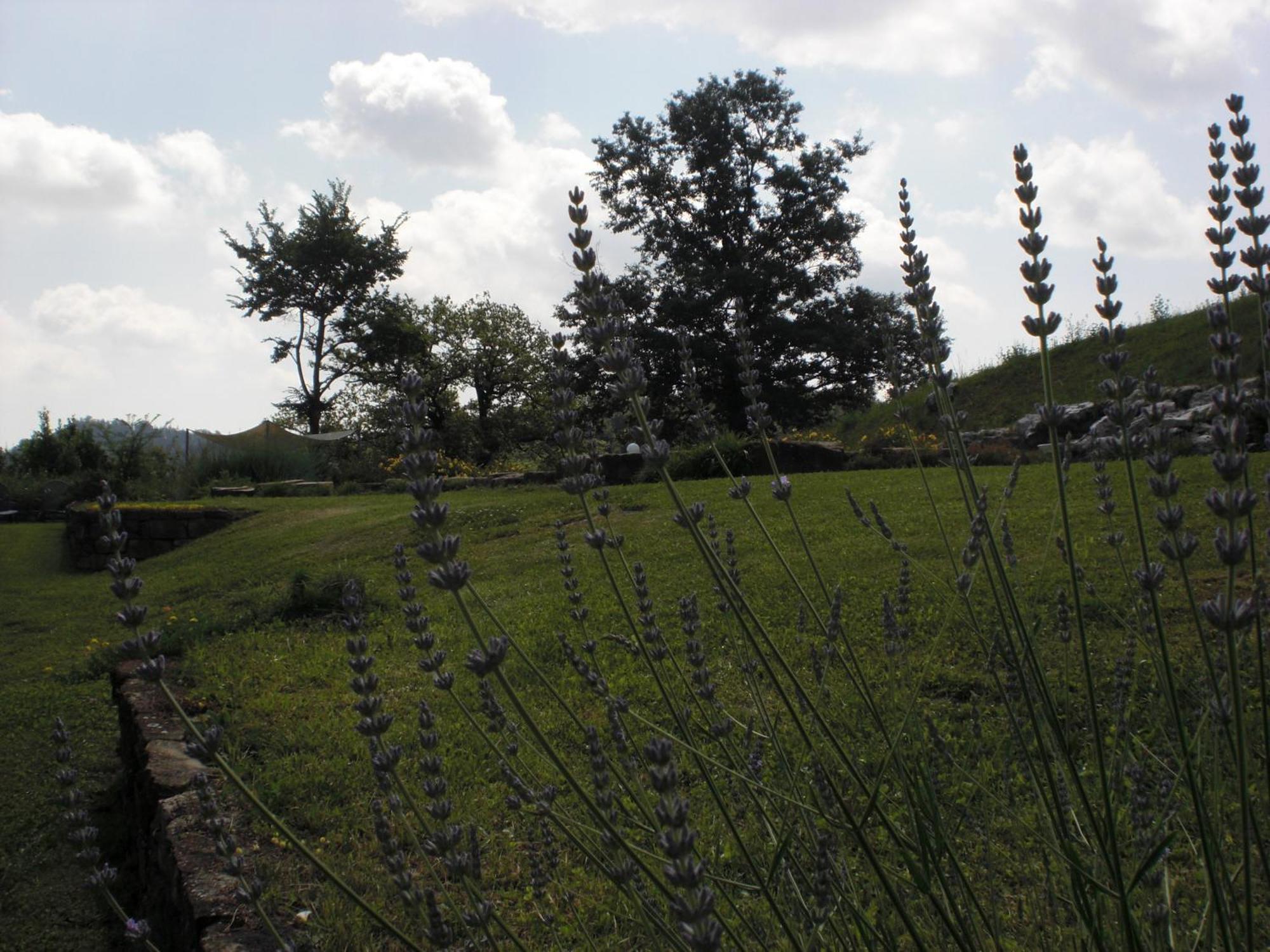 Agriturismo Campo Del Pillo Pietradura Экстерьер фото